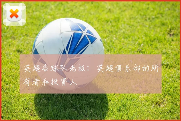 英超各球队老板：英超俱乐部的所有者和投资人