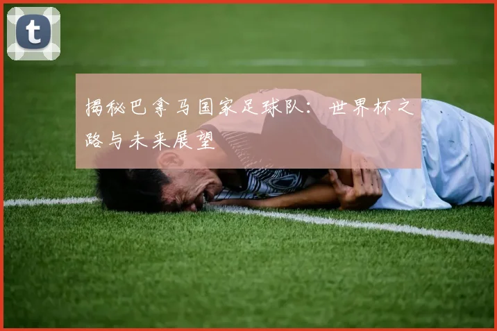 揭秘巴拿马国家足球队：世界杯之路与未来展望