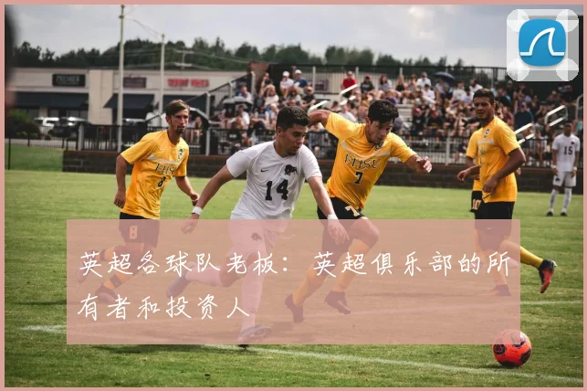 英超各球队老板：英超俱乐部的所有者和投资人